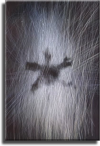window cleaner abrasive scratch