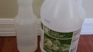 vinegar-not-good-for-cleaning